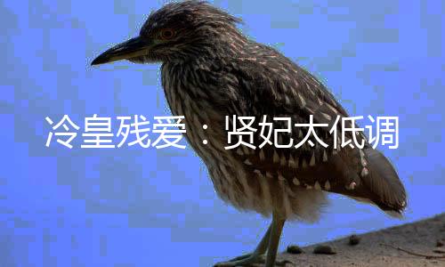 《恰似寒光遇骄阳》全文在线阅读