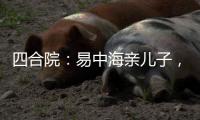 四合院：易中海亲