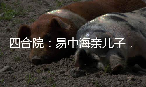 《穿书成恶毒女配，我创死霸总全家》全文在线阅读