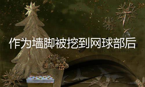 《京娇盛宠》全文在线阅读