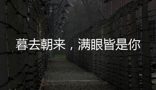 《全球贬值，我穿回来后带飞全家！》全文在线阅读