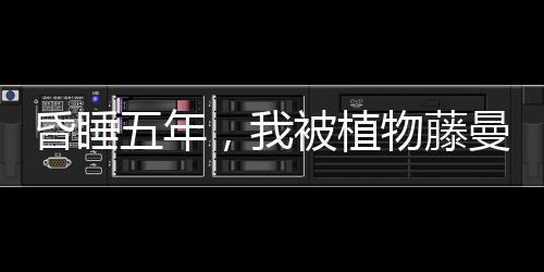 《入夜，娇软乖乖被京圈大佬吻哭了》全文在线阅读