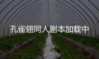 孔雀翎同人剧本加