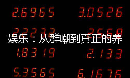 娱乐：从群嘲到真正的养成系女团