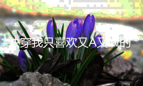 《黄泉快递：亲，记得五星好评哟》全文在线阅读